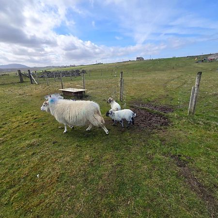 Villa Squealing Pig Bothy Barvas Exterior foto