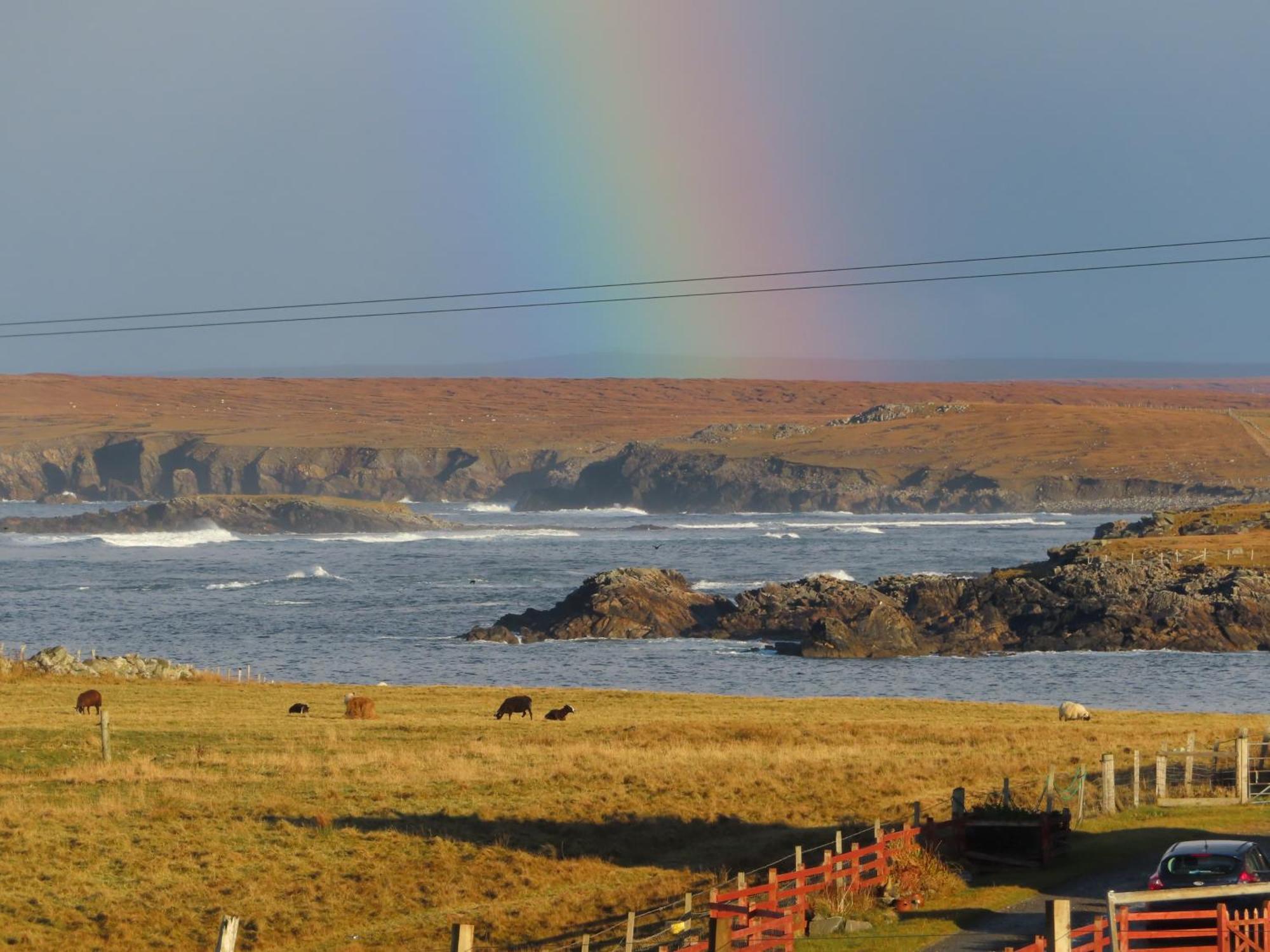 Villa Squealing Pig Bothy Barvas Exterior foto