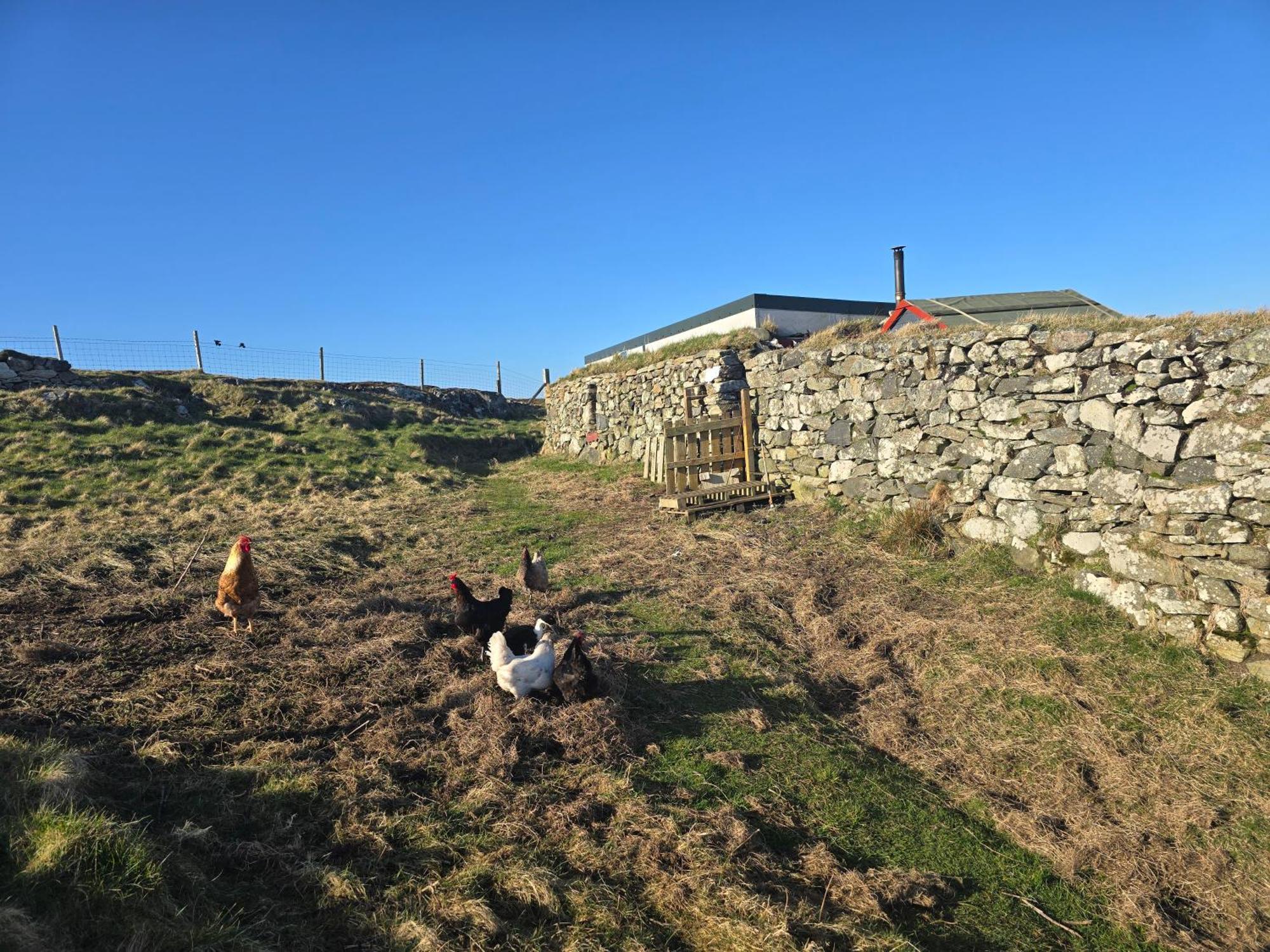 Villa Squealing Pig Bothy Barvas Exterior foto